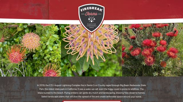 Screenshot of Firebreak Farms