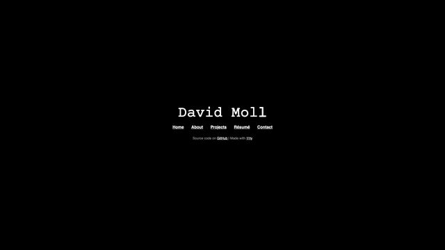 Screenshot of David Moll | Portfolio