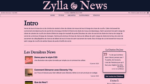 Screenshot of Zylla News