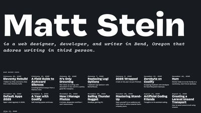 Screenshot of Matt Stein