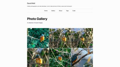 Screenshot of David Moll Gallery