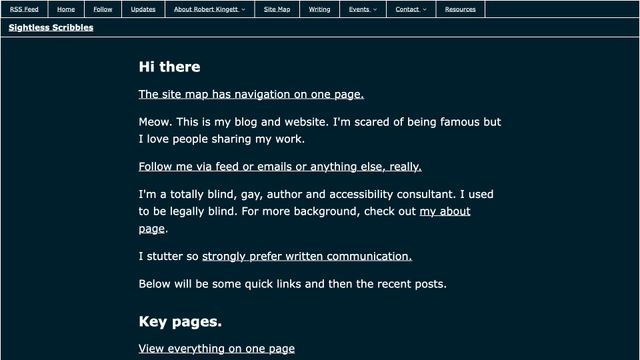 Screenshot of Sightless Scribbles