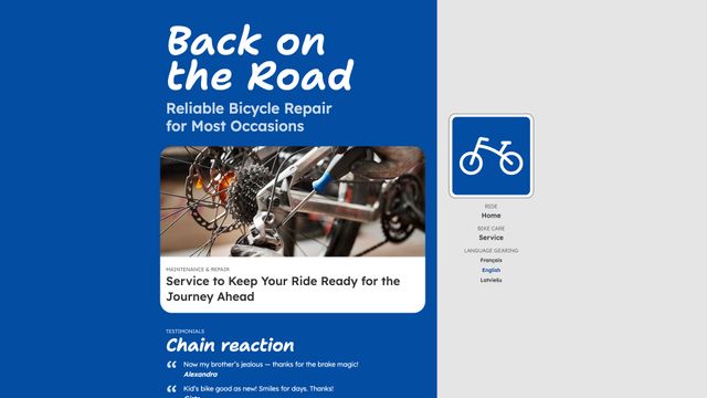 Screenshot of Home · The Bicycle Stop