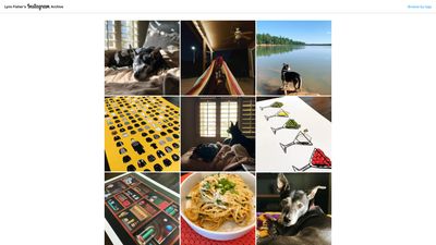 Screenshot of Lynn Fisher's Instagram Archive