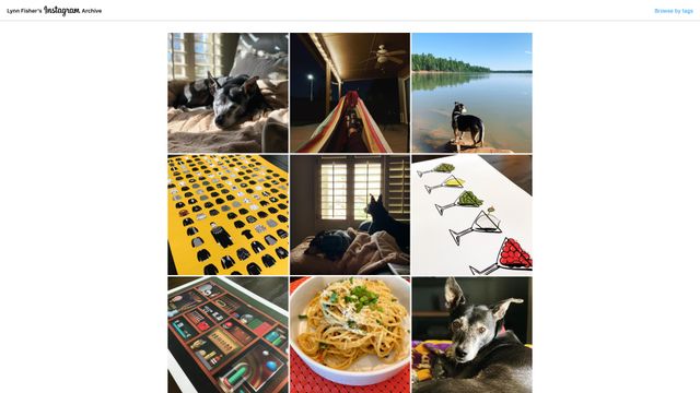 Screenshot of Lynn Fisher (@lynnandtonic) Instagram Archive