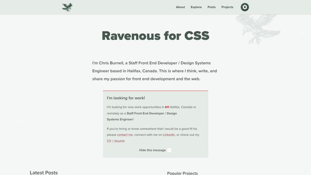 Screenshot of Chris Burnell