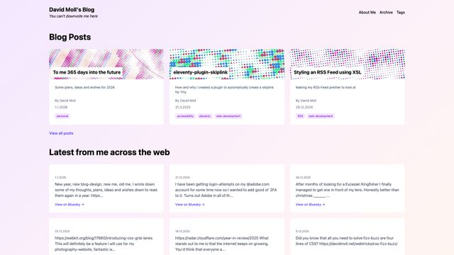 Screenshot of David Molls Blog - David Moll's Blog